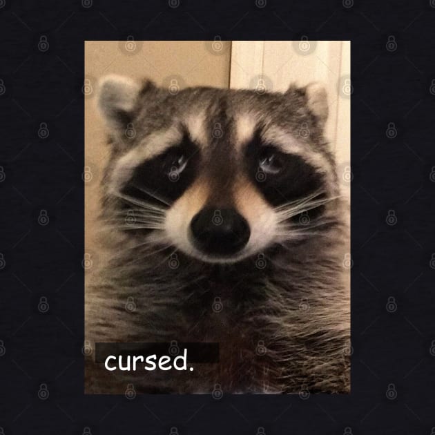 cursed by bucketthetrashpanda